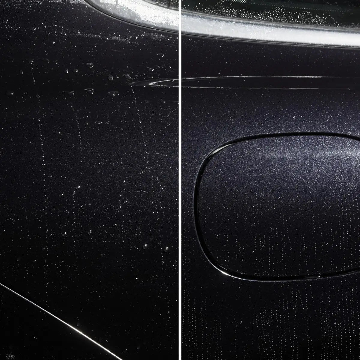 02233000_PROFILINE-Polymer-Netshield_xx_2020-06-17_7