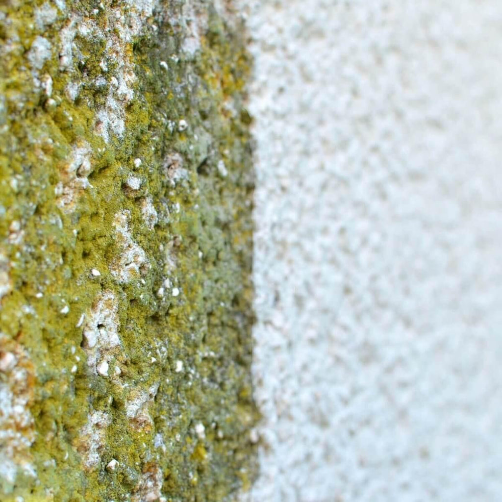 Hausfassade vorher nachher Fassadenreinigung