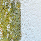 Hausfassade vorher nachher Fassadenreinigung