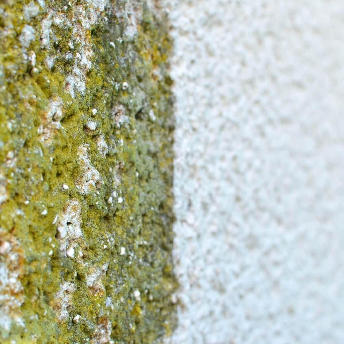 Hausfassade vorher nachher Fassadenreinigung