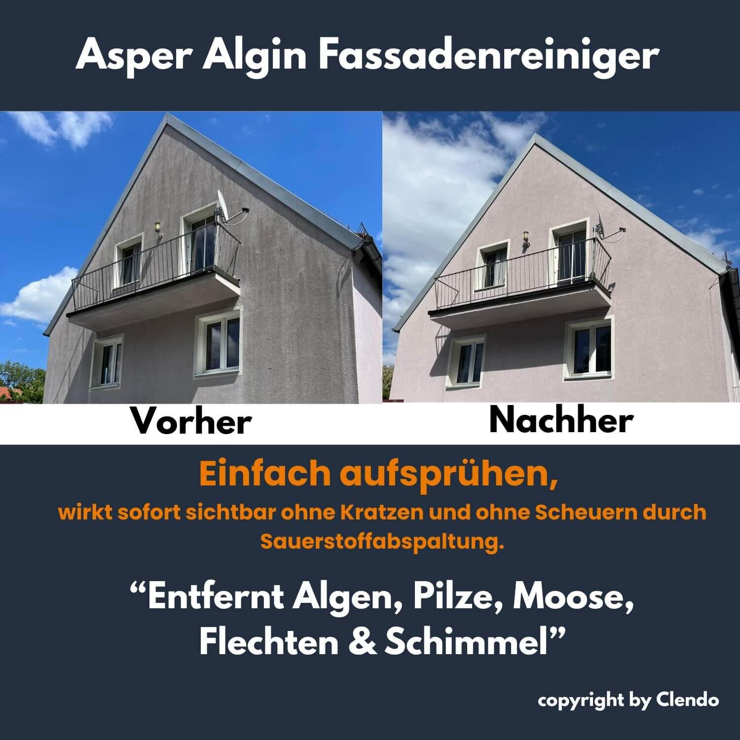 MTS Original AsperAlgin Fassadenreiniger 1l