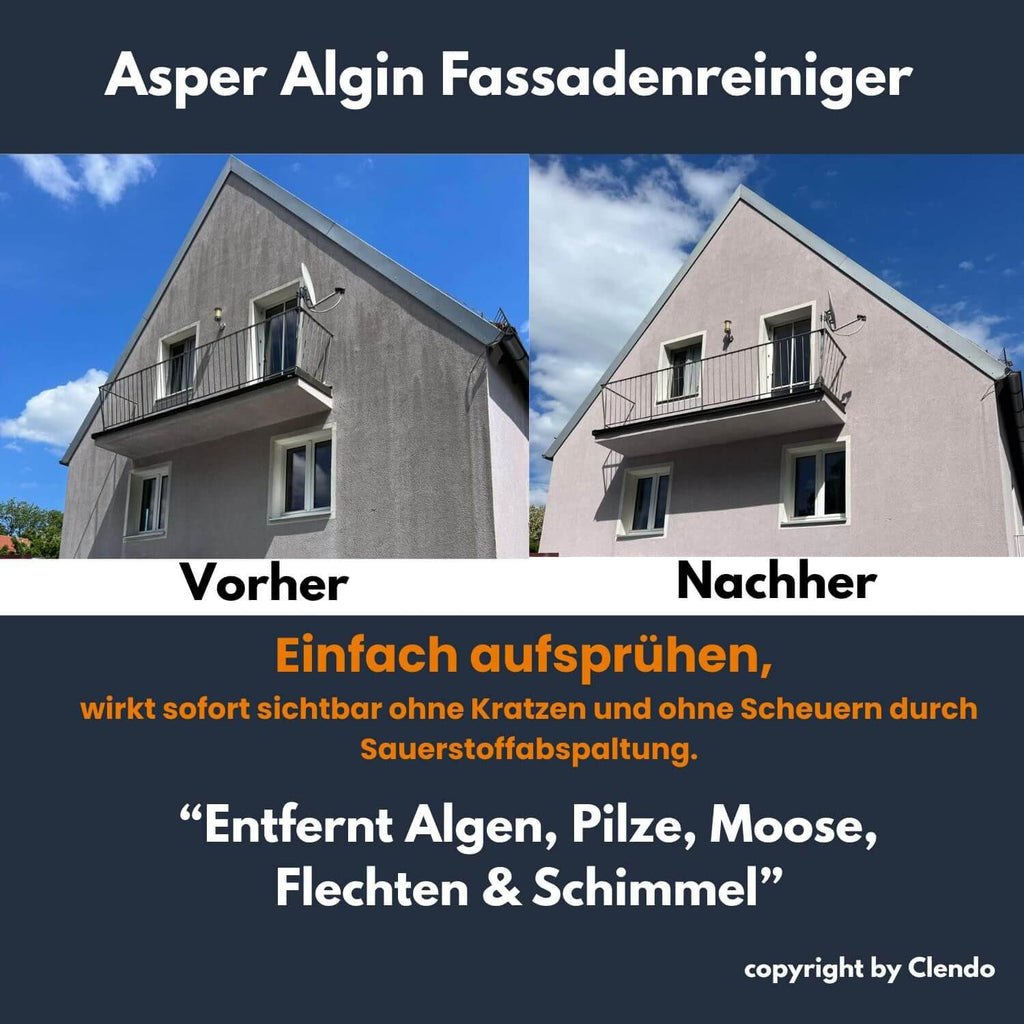 MTS Original AsperAlgin Fassadenreiniger 20l