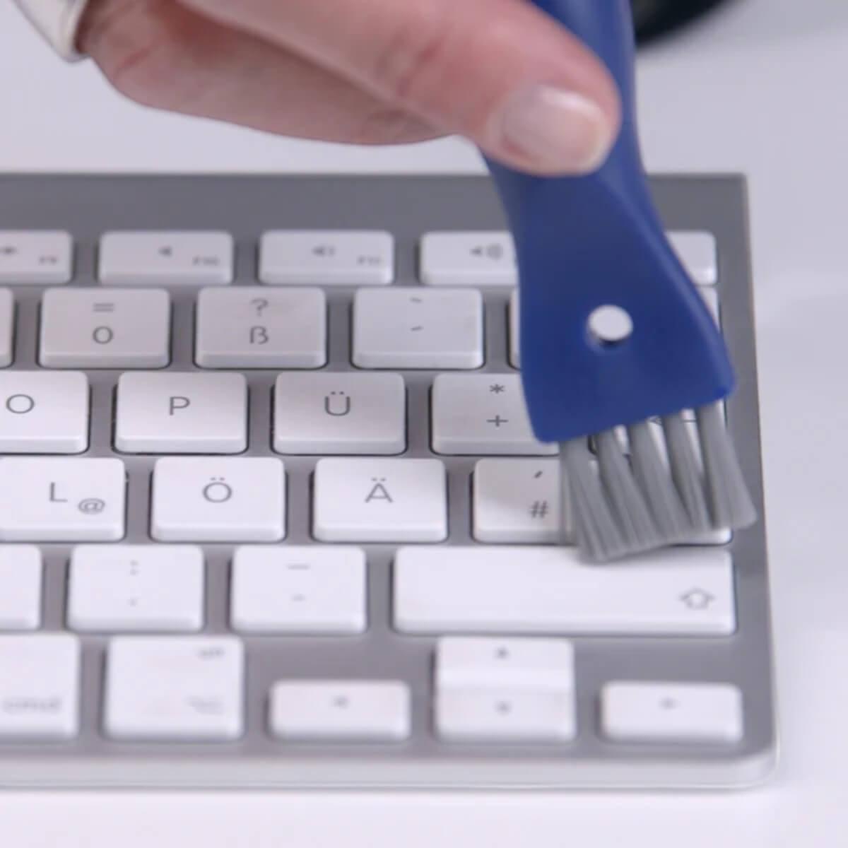 SAUBA KOMBO Technik-/Steckdosenbürste XL