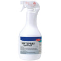 Eilfix Toiletten-Duftspray Cool Fresh 1l.