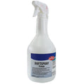 Eilfix Toiletten-Duftspray Orange 1l.