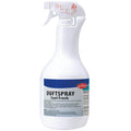 Eilfix Toiletten-Duftspray Cool Fresh 1l