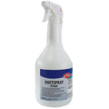 Eilfix Toiletten-Duftspray Orange 1l