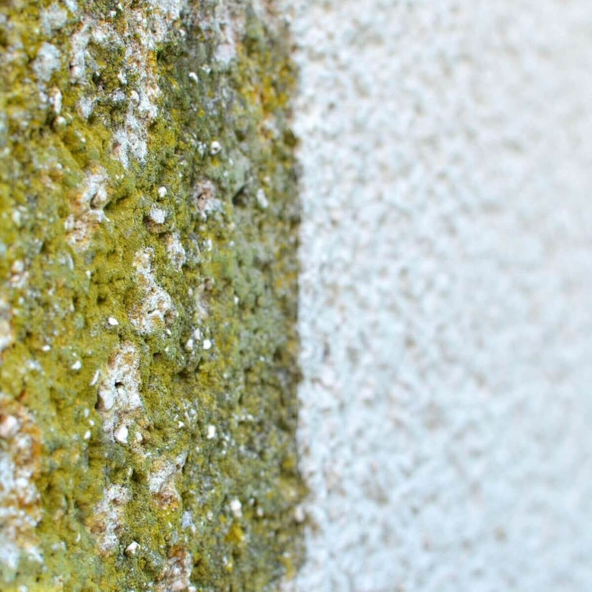 HERMES Fassadenrein HF1 plus-5 Konzentrat 20 Liter.