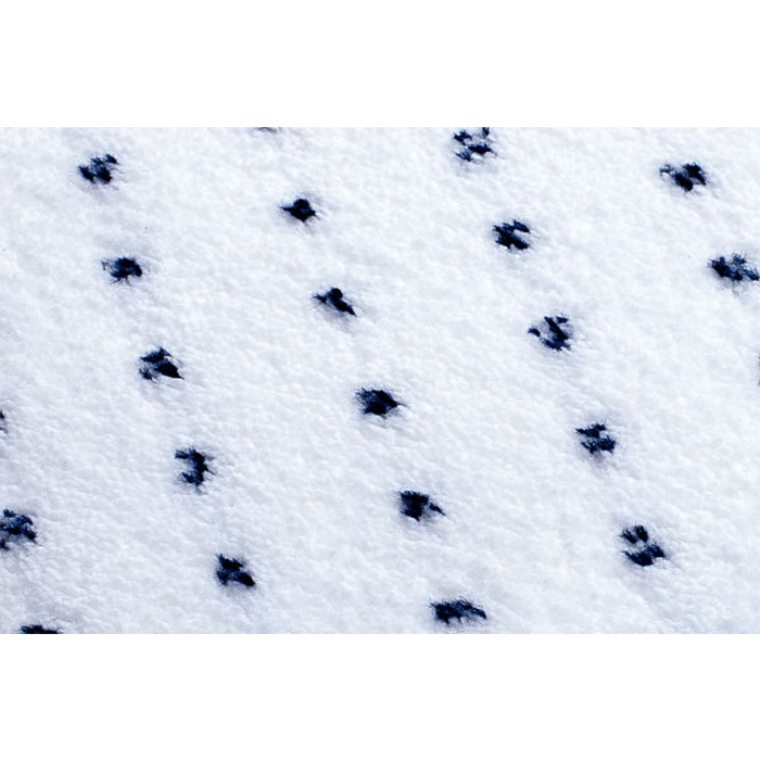 Floorstar Microfaser Handpad.