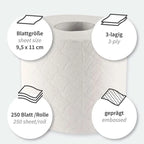 HygoClean Toilettenpapier 3-lagig Kleinrolle 72 Rollen 250 Blatt.