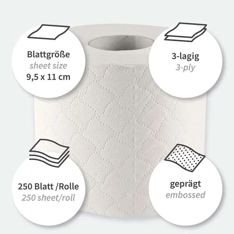 HygoClean Toilettenpapier 3-lagig Kleinrolle 72 Rollen 250 Blatt.