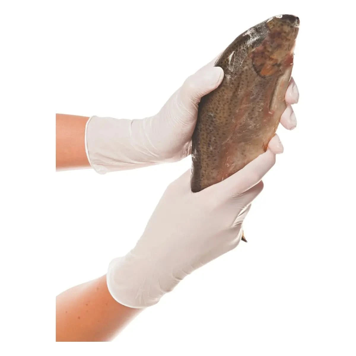 Hygonorm Nitril-Handschuhe "Allfood Safe" Weiß 250 Stück.