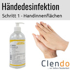 Languth Desmila LSI Händedesinfektion DE21 Handinnenfläche