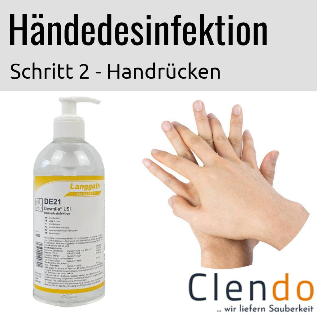 Languth Desmila LSI Händedesinfektion DE21 Handrücken desinfizieren