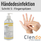 Langguth DE21 Desmila LSI Händedesinfektion 500ml Dosierflasche.