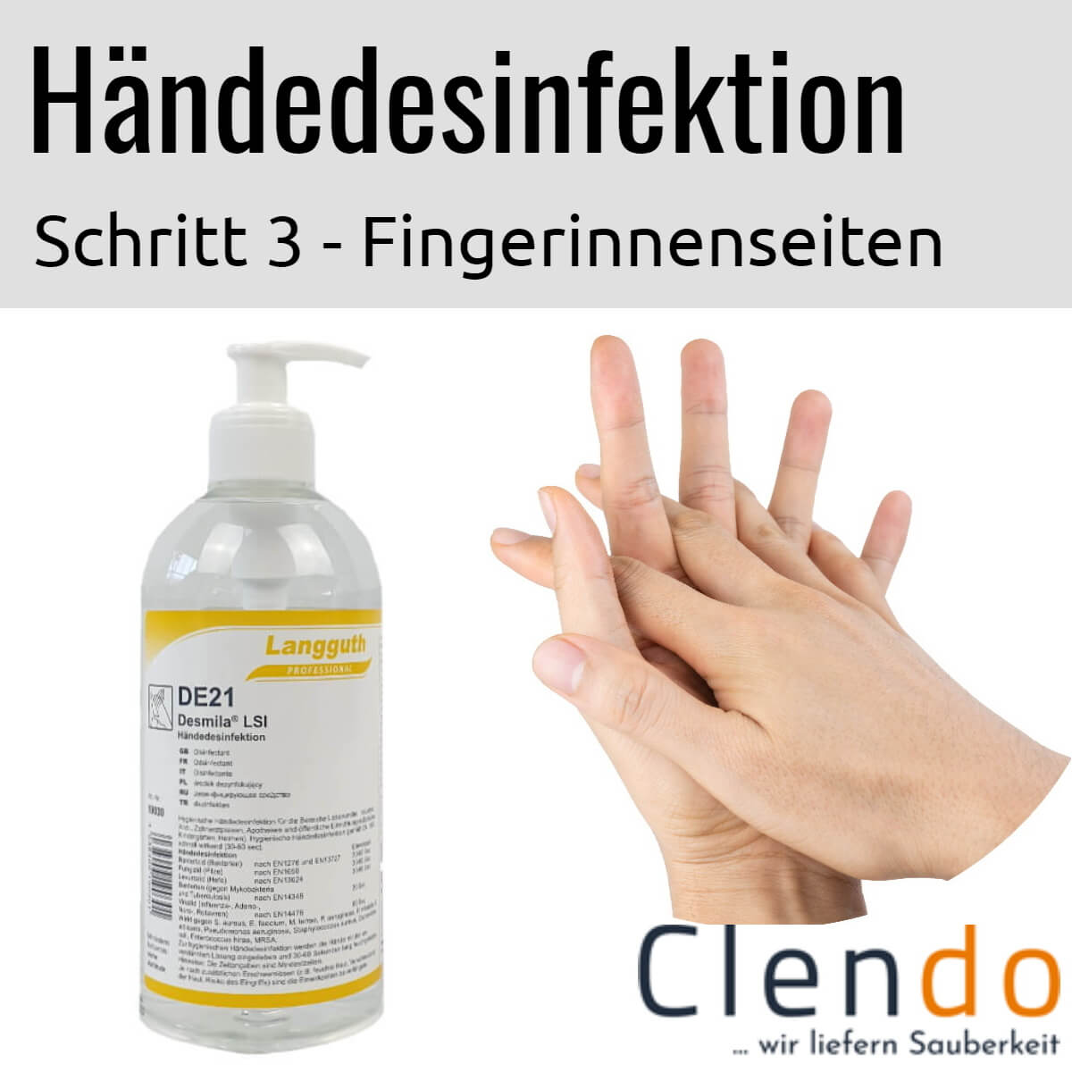 Languth Desmila LSI Händedesinfektion DE21 Fingerzwischenräume desinfizieren
