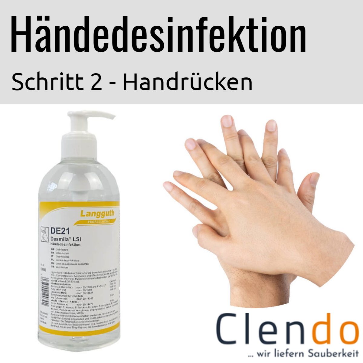 Languth Desmila LSI Händedesinfektion DE21 Handrücken desinfizieren