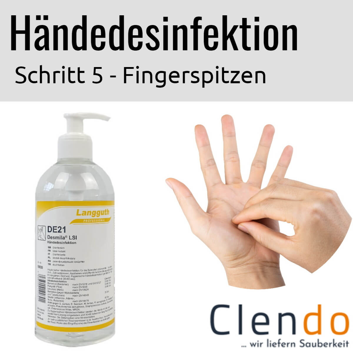 Languth Desmila LSI Händedesinfektion DE21 Fingerspitzen desinfizieren