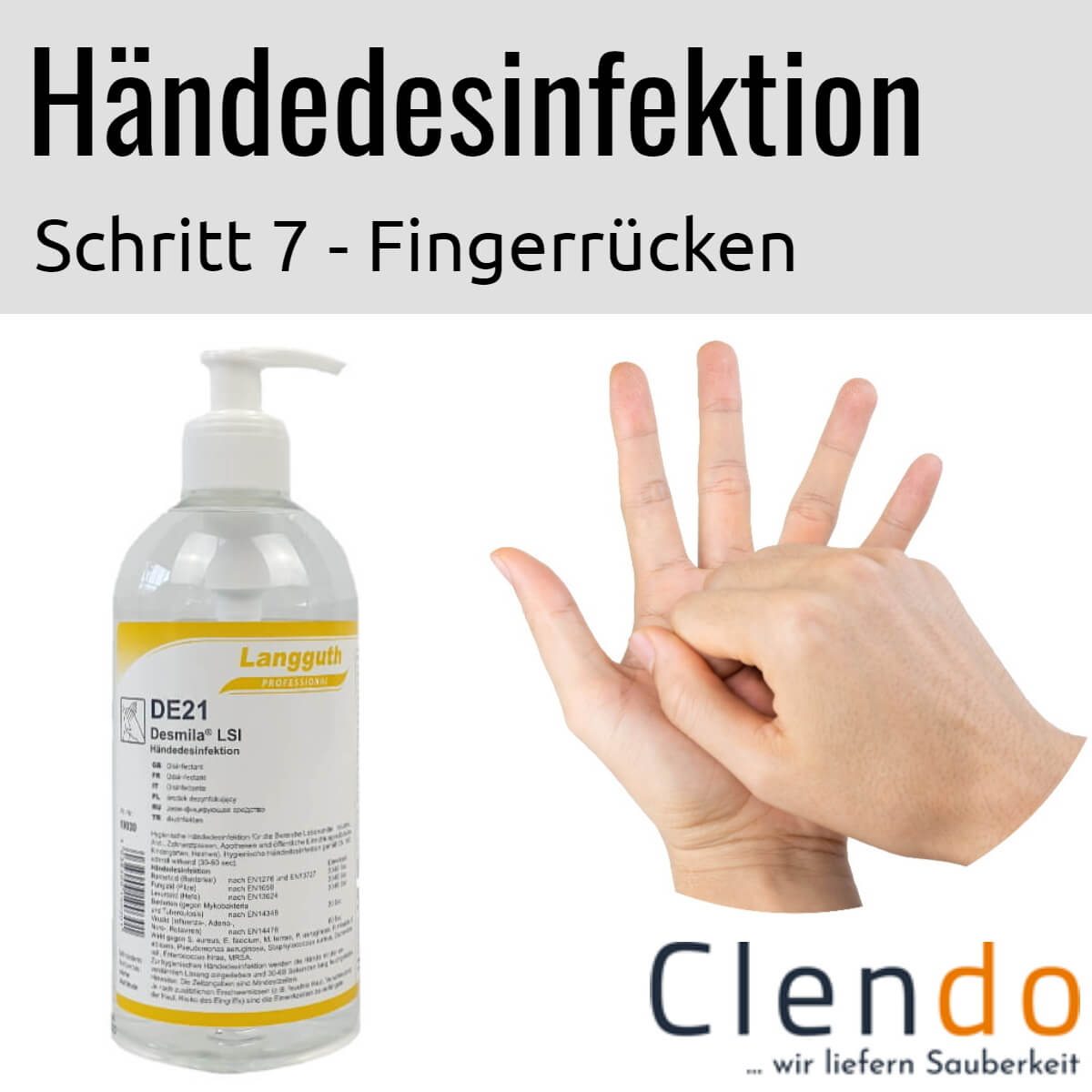 Languth Desmila LSI Händedesinfektion DE21 Fingerrücken desinfizieren