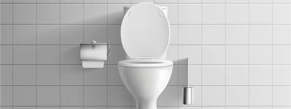 Urinal & WC-Reiniger