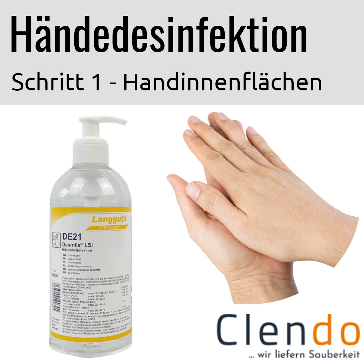Languth Desmila LSI Händedesinfektion DE21 Handinnenfläche 