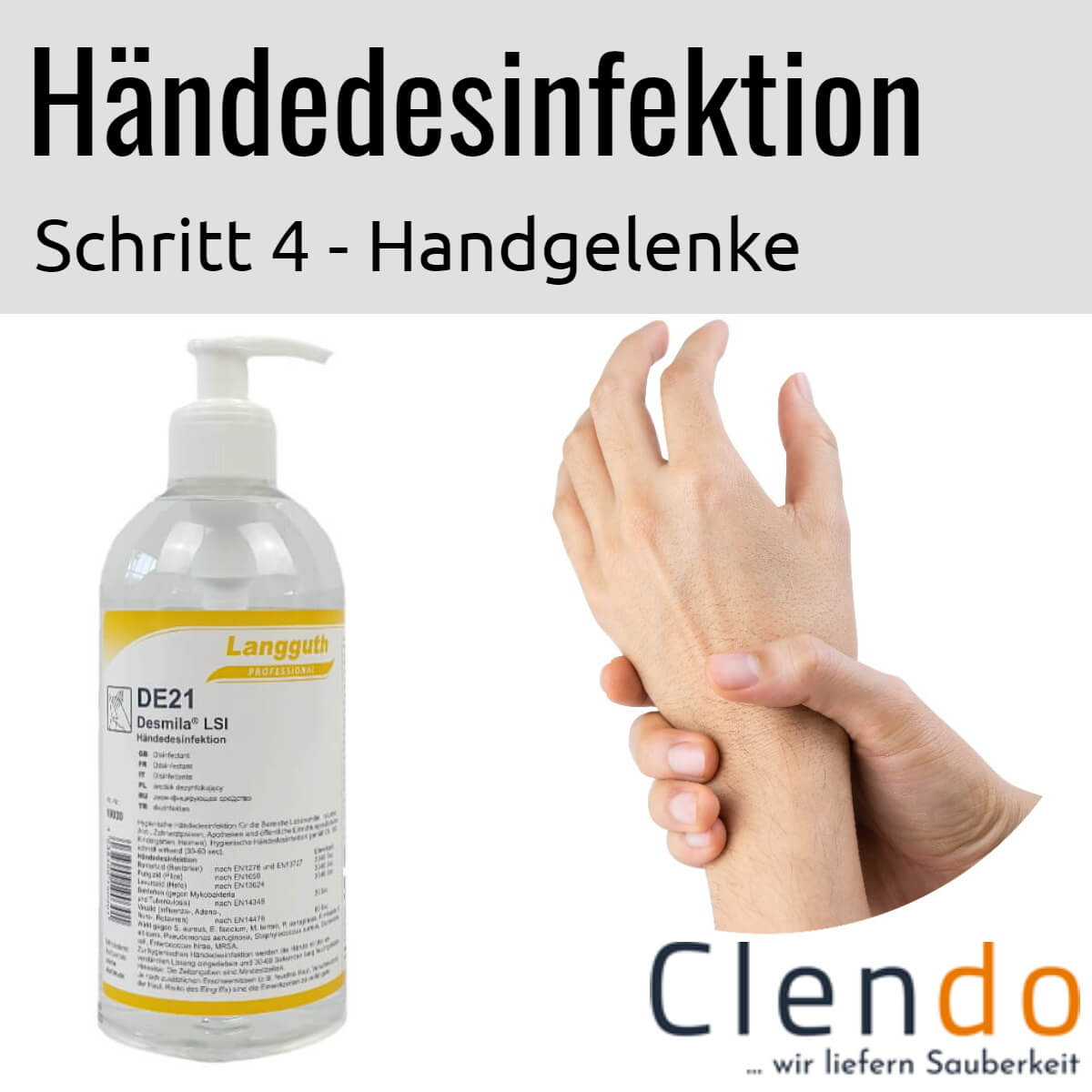 Languth Desmila LSI Händedesinfektion DE21 Handgelenke desinfizieren